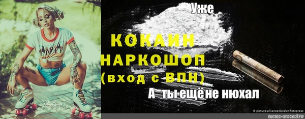 мяу мяу мука Беломорск