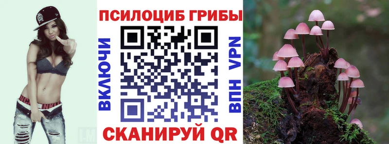 Псилоцибиновые грибы мухоморы Каспийск