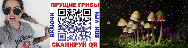 ОМГ ОМГ зеркало  darknet состав  Псилоцибиновые грибы Cubensis  Каспийск 