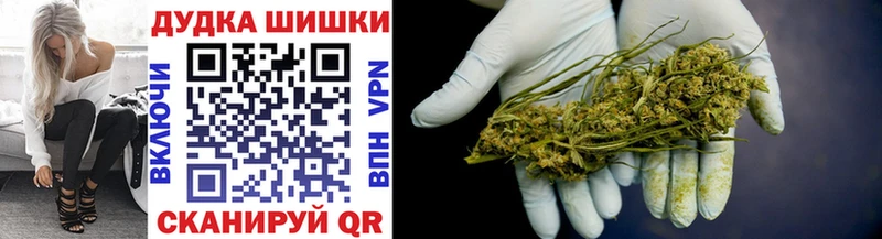 магазин    Каспийск  Канабис индика 